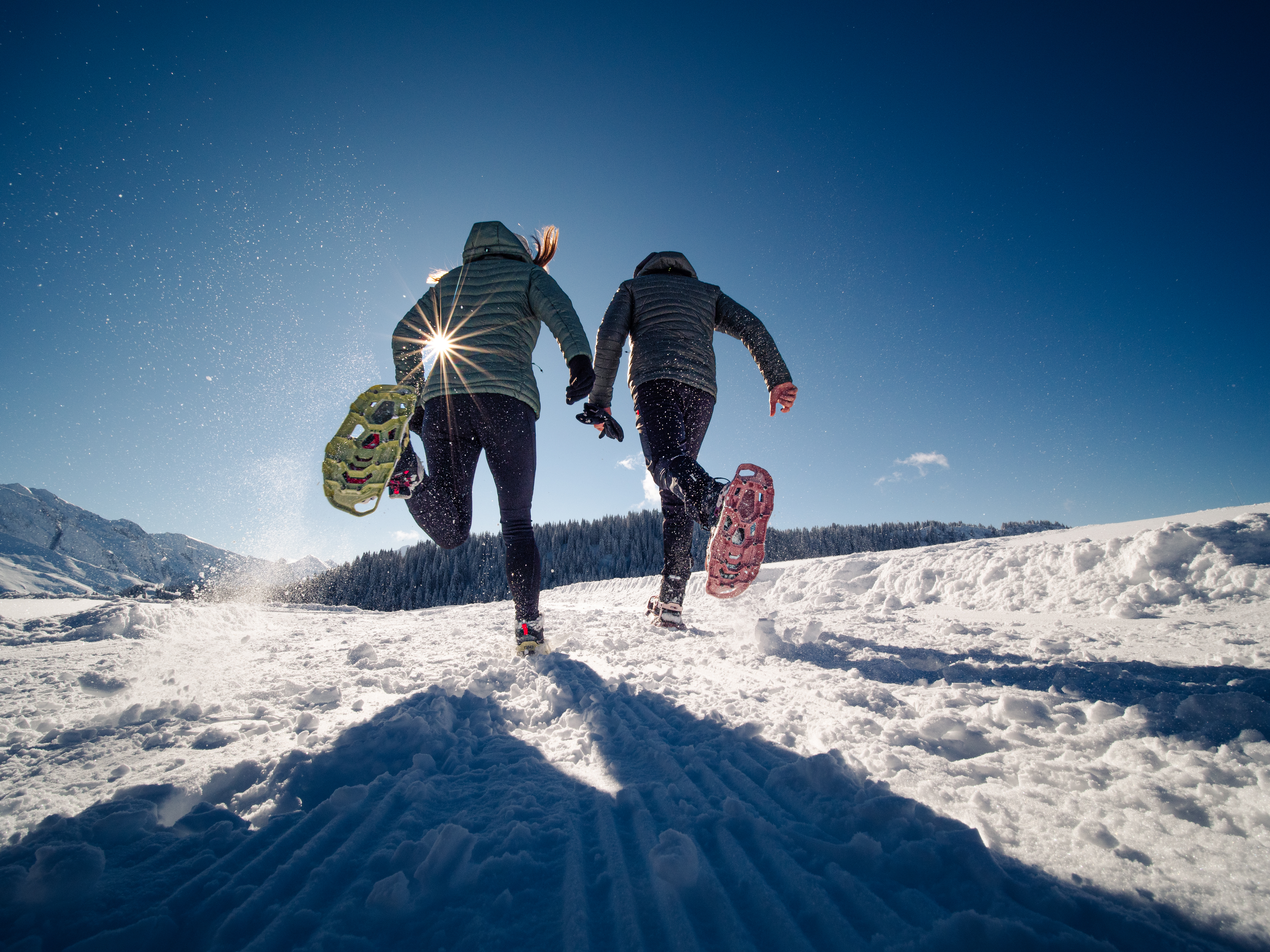 Snowshoes