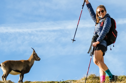 KIICEILING Nordic Trekking Pole Walking Sticks Hiking Poles Rod Climbing  Outdoor Camping Hunting Fishing Survival Gear