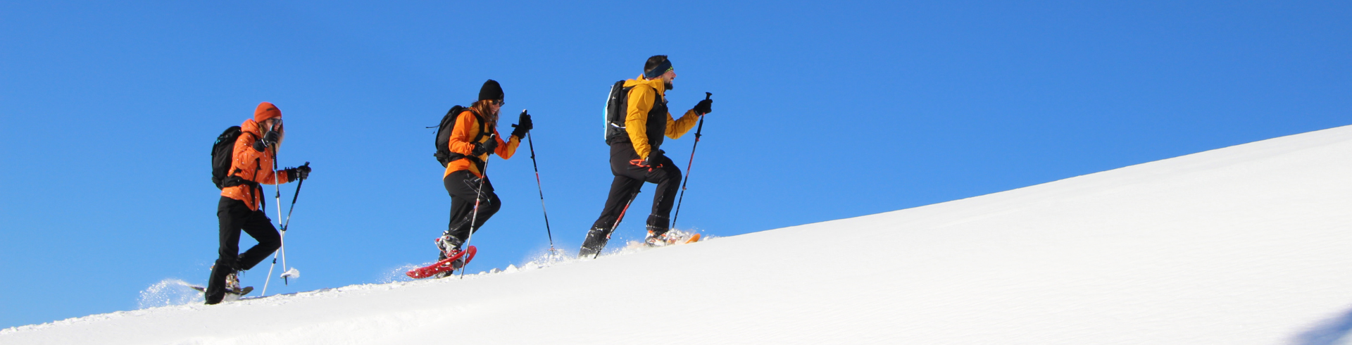  Blog - ¿Qué son las raquetas de nieve?