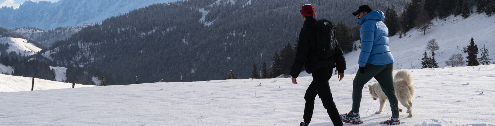 Snowshoeing For Beginners, The Ultimate Guide