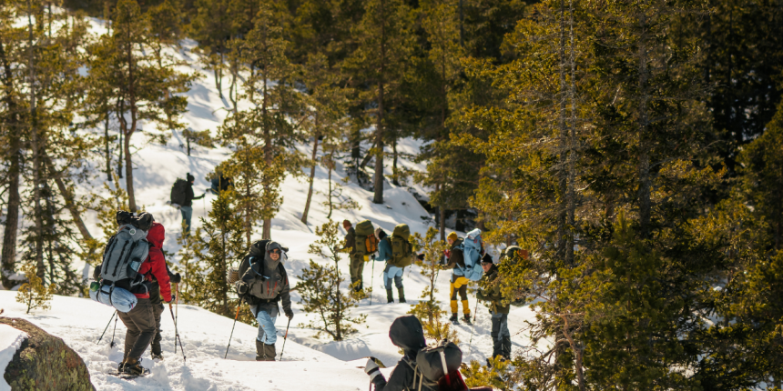 Snowshoe Trekking Poles: Features and Functions