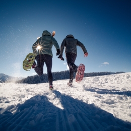 Snowshoes