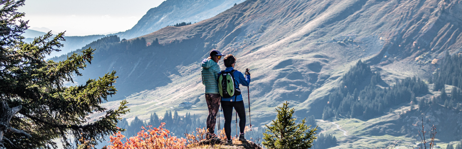 Bastones de marcha nórdica, Modelo Táctil C20 Standard, Marca Tsl Outdoor —  Illa Sports - Venta de material para senderismo y escalada